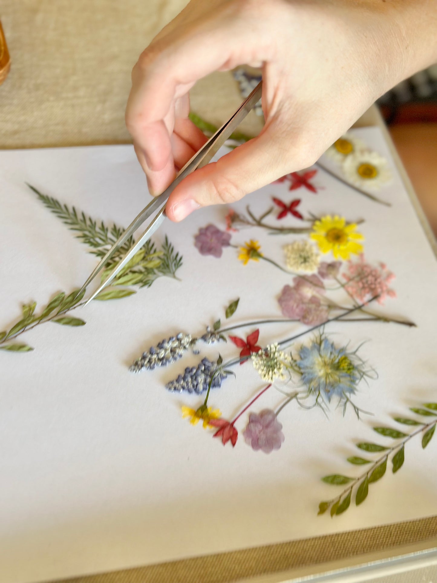【Palmerston】Pressed Flower Frame for Handmade Christmas Gift🎄🎅