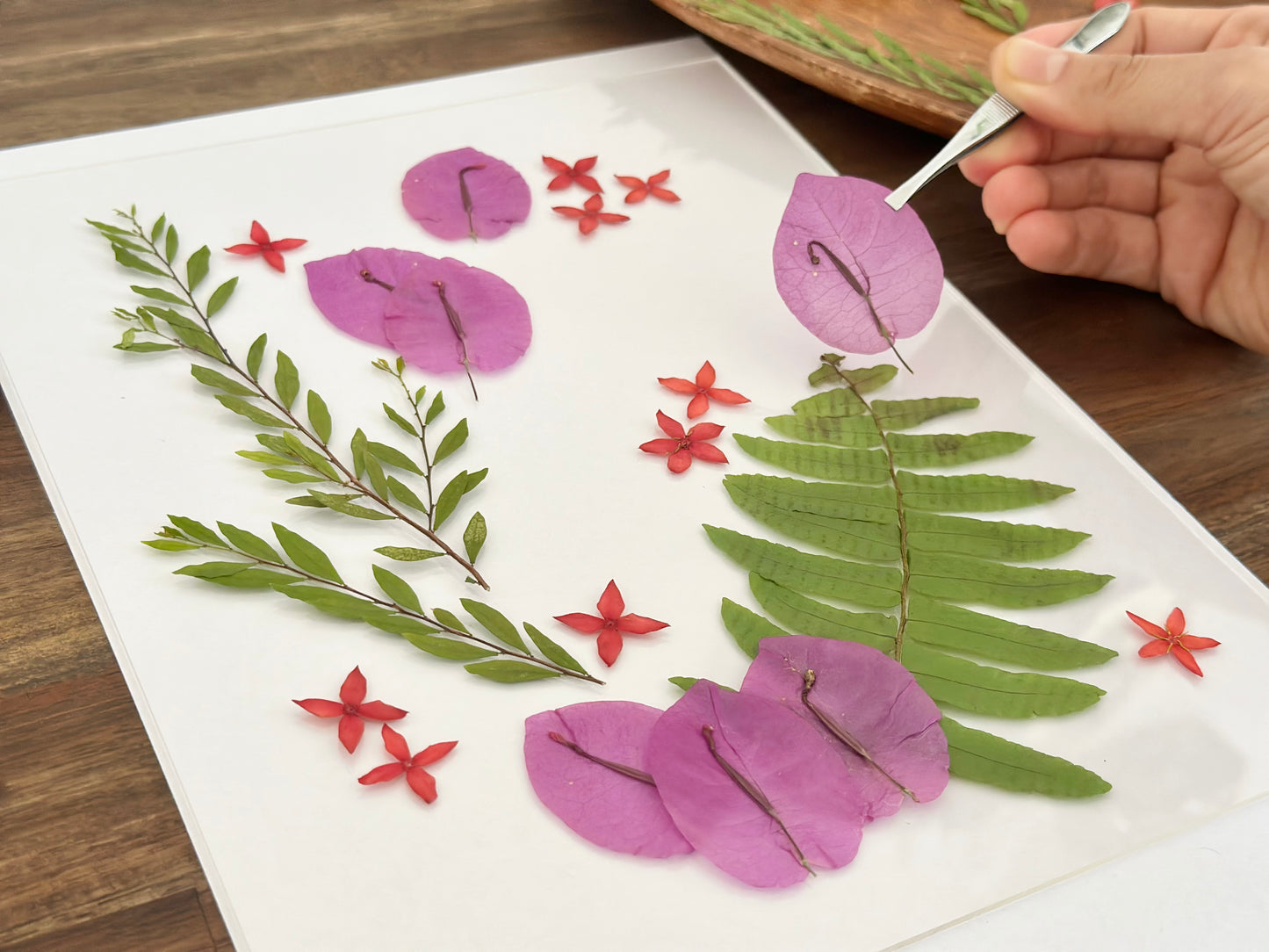 【Palmerston】Pressed Flower Frame for Handmade Christmas Gift🎄🎅