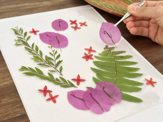 【Palmerston】Pressed Flower Frame for Handmade Christmas Gift🎄🎅