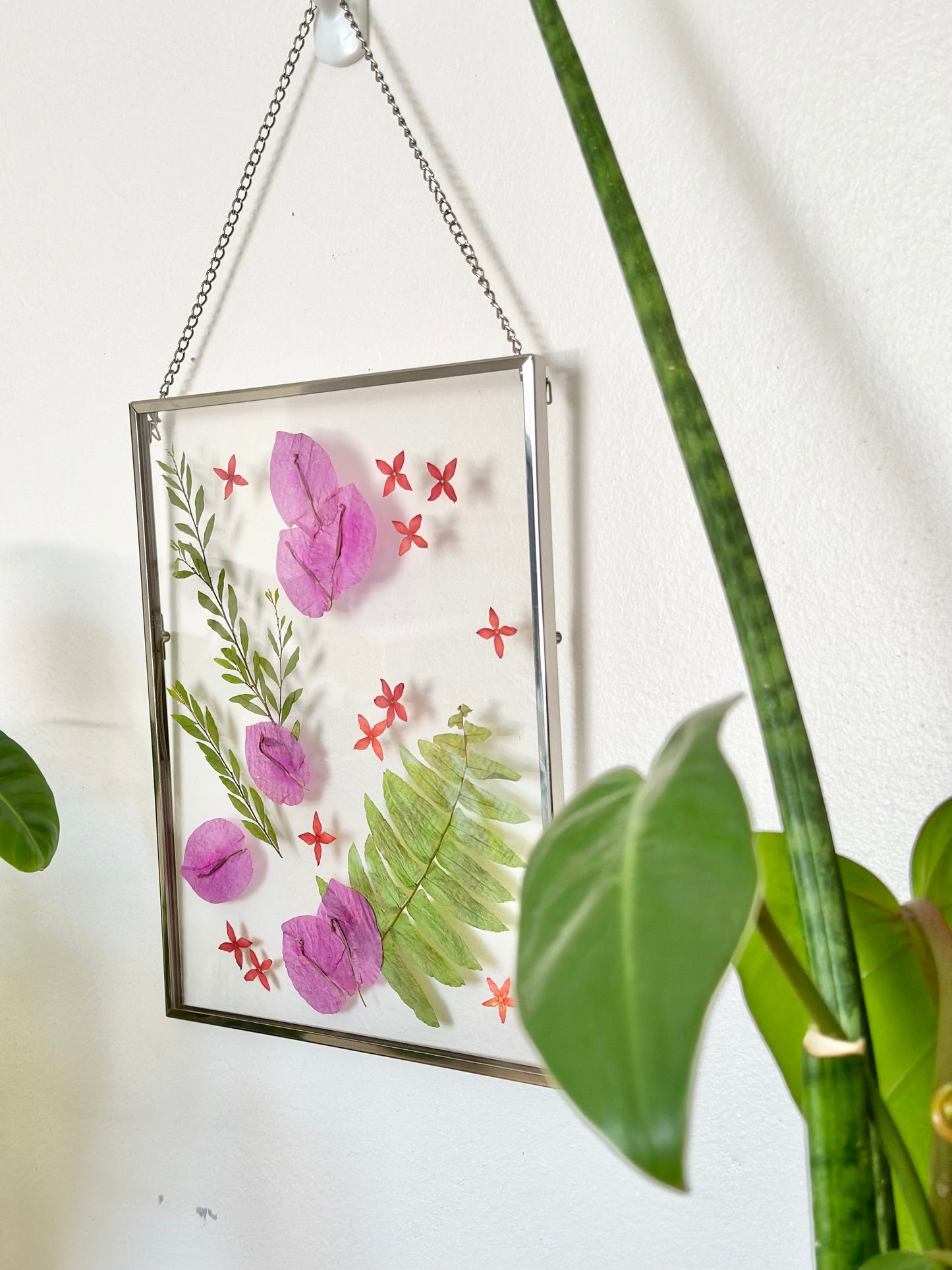 【Palmerston】Pressed Flower Frame for Handmade Christmas Gift🎄🎅