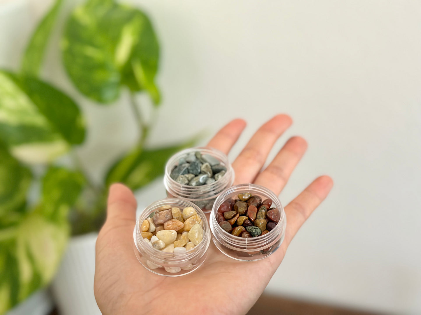 【Palmerston】Japanese Aroma Gift-Making Workshop: Christmas Edition🎄🎅