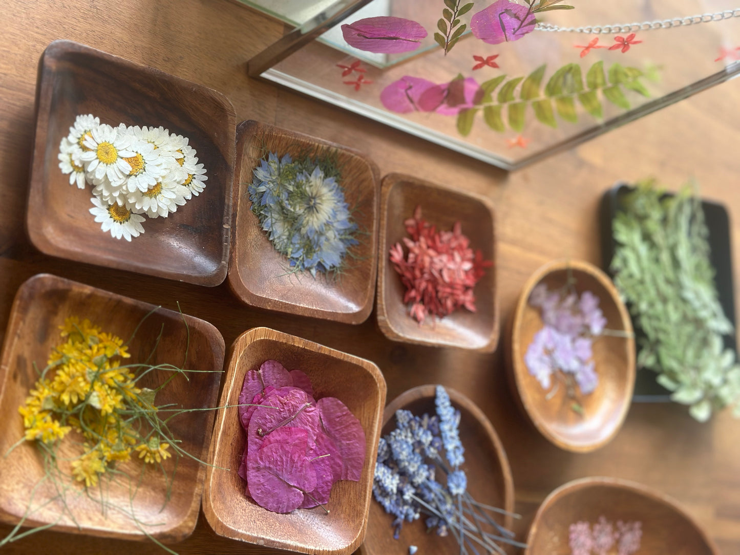Pressed Botanical Framing